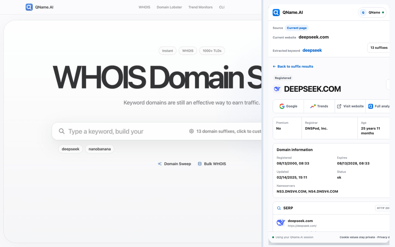 Domain age, registrar, nameservers, favicon, and SERP evidence inside the WHOIS Chrome plugin.